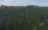 images/forest.png